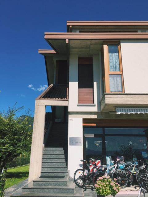 Bed&Breakfast Zattieri Ponte nellʼAlpi Dış mekan fotoğraf