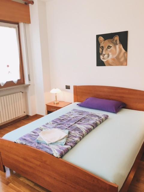 Bed&Breakfast Zattieri Ponte nellʼAlpi Dış mekan fotoğraf